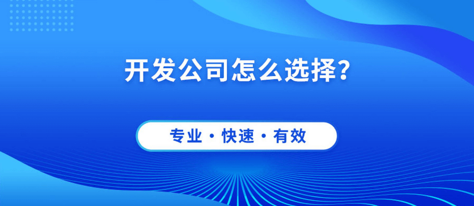 上海网站开发如何选择开发公司才不踩坑？